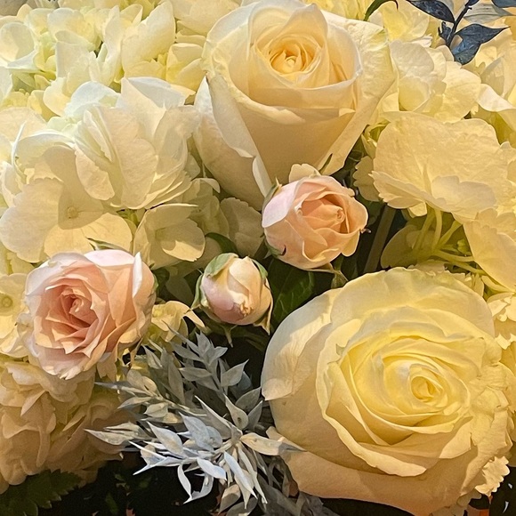 Meet your Posher, Heather - Picture 1 of 1